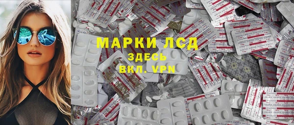 дмт Алзамай