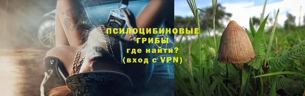индика Арсеньев