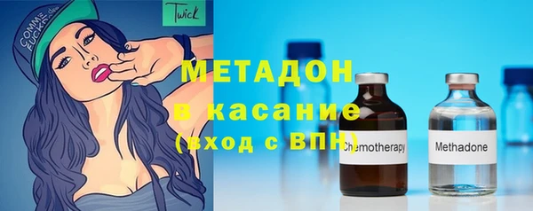индика Арсеньев