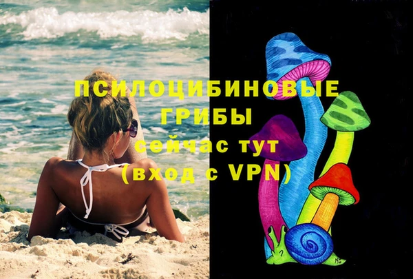 винт Армянск
