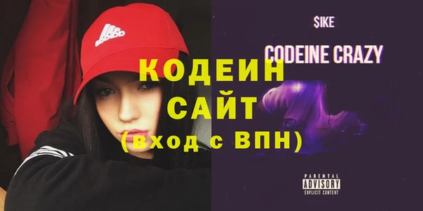 индика Арсеньев