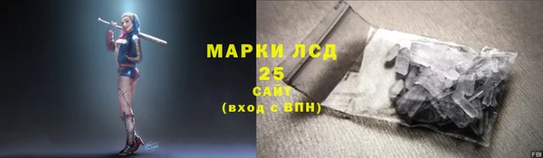 индика Арсеньев