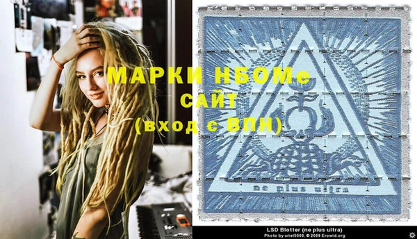 индика Арсеньев