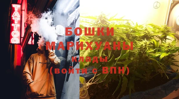 индика Арсеньев