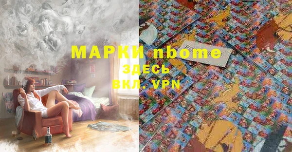 индика Арсеньев