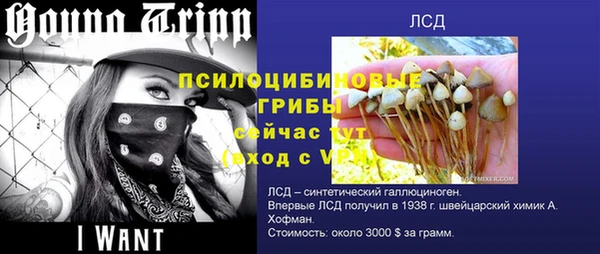 винт Армянск