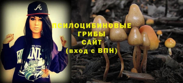 индика Арсеньев