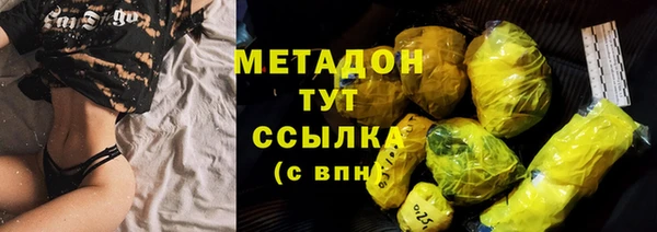 индика Арсеньев