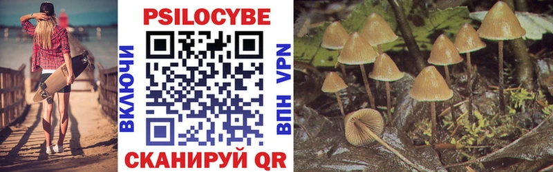 Псилоцибиновые грибы Magic Shrooms  Кирово-Чепецк 