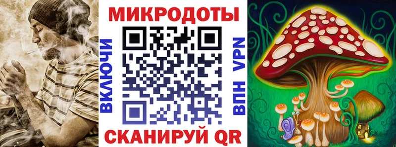 Галлюциногенные грибы Psilocybine cubensis Кирово-Чепецк